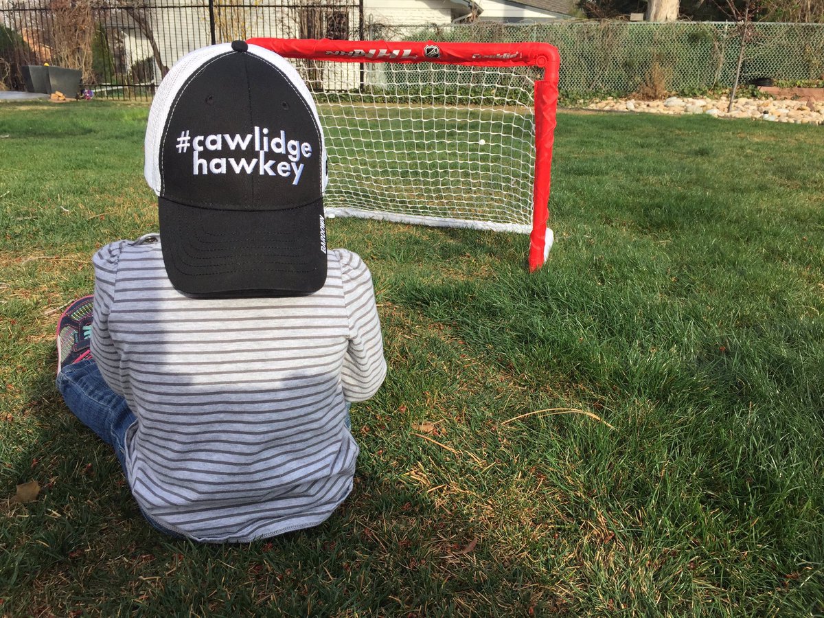 Division I #cawlidgehawkey Men’s Players:
Minnesota 219
Michigan 162
Massachusetts 130
New York 96
Illinois 53