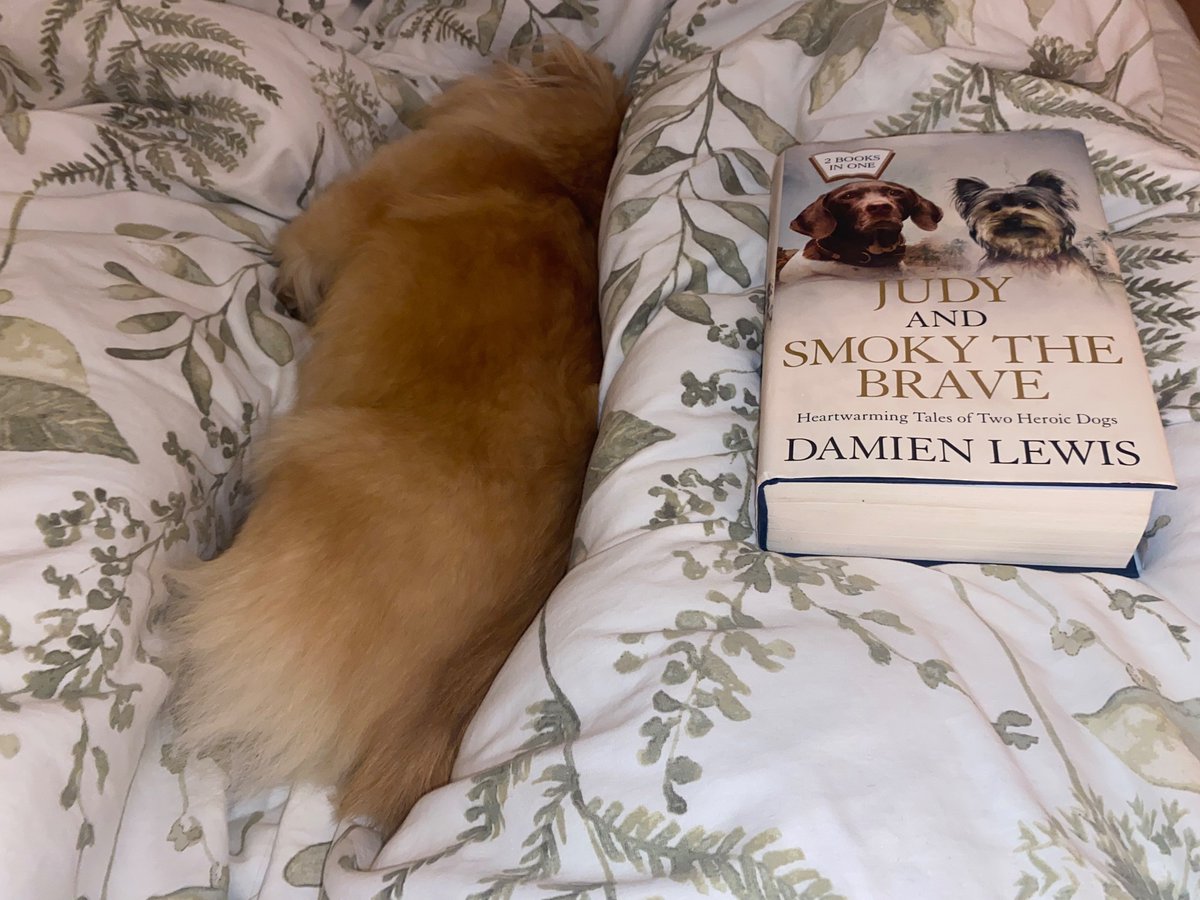 C3rysJones's tweet photo. Almost finished @authordlewis book on Judy, the only dog POW of WW2, whilst Emmy sleeps by my side. Reading about everything Judy &amp; co went through makes me so grateful (&amp; cuddle Emmy extra tight). Definitely recommend this book &amp; am looking forward to Smoky the Brave next! https://t.co/oLoWnbsdCH