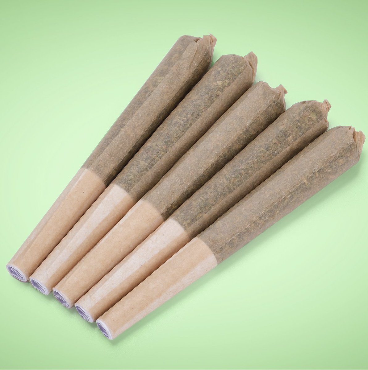 CTPharmaSol's tweet photo. Pre-rolled perfection. What's your preference - pre-rolls or shorties?

You must be 21 years old to view this content. https://t.co/EaNWH9rOz0