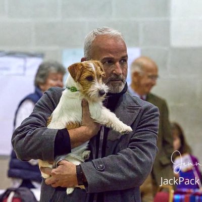 David Nicholson tweet media