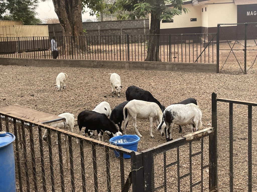 YapBoum2's tweet image. I am pleased to announce that after 14 great years at @Epicentre_MSF I am starting a new position as Executive Director at @I_P_Bangui member of the @PasteurNetwork