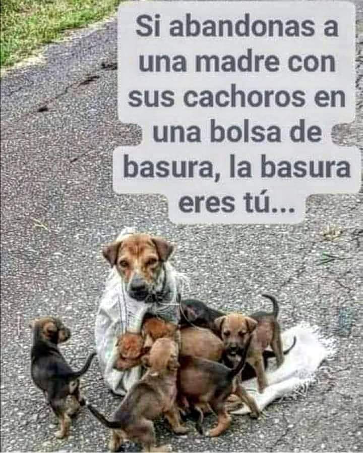 Sabueson (@sabueson) on Twitter photo 