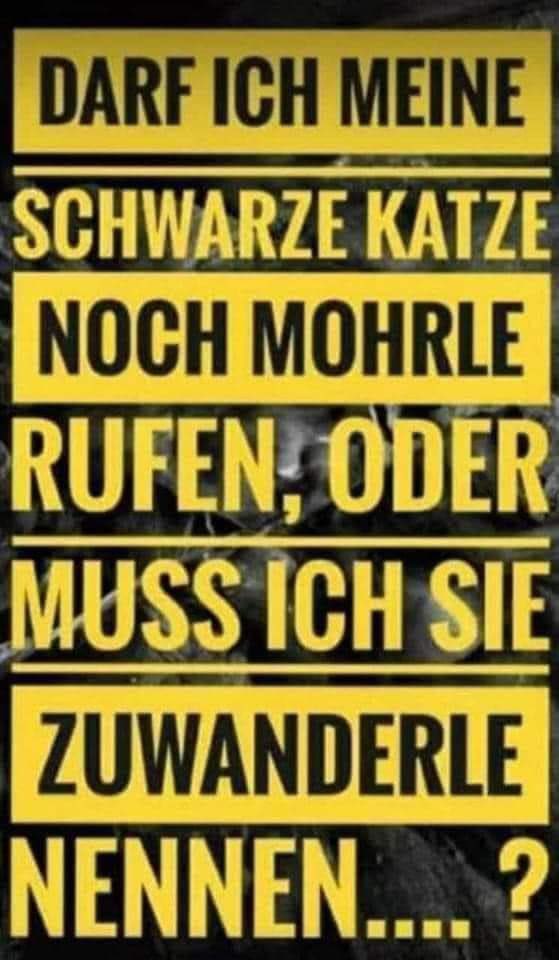 dima973's tweet image. Frage für einen Freund. #schwarze #Katze #Mohr|le #Zuwanderer