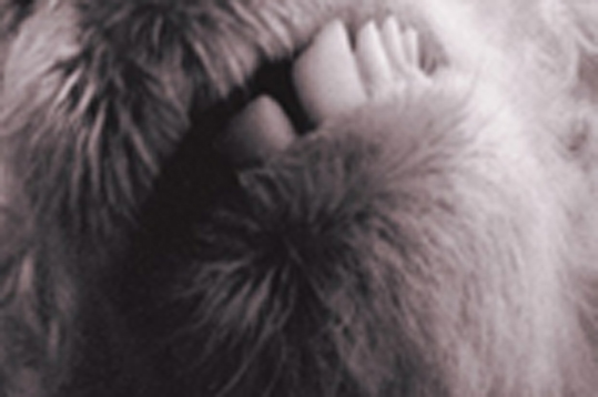 Loudwire tweet media