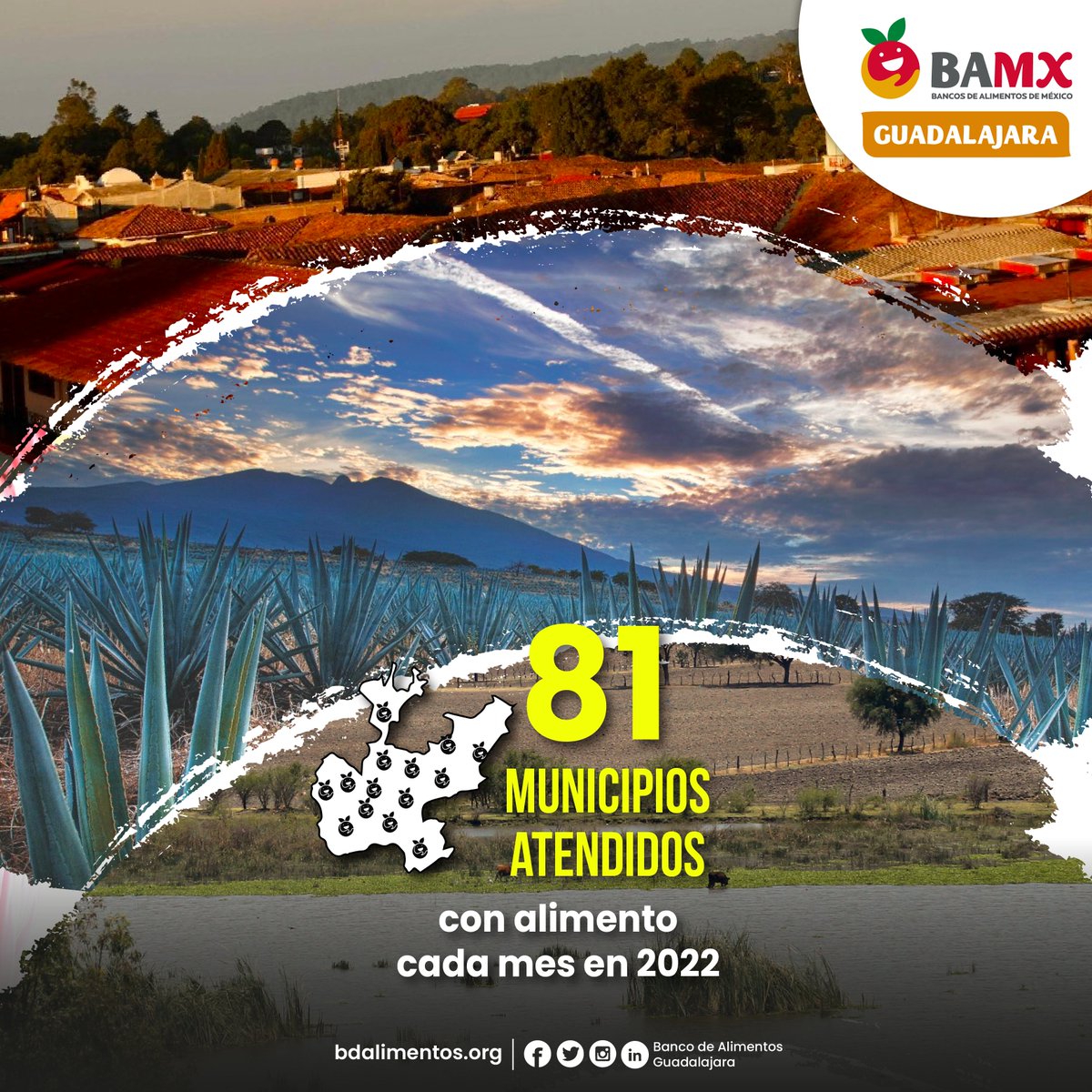 BDAGDL's tweet image. Con el valioso apoyo de nuestros enlaces y comités tenemos una cobertura de apoyo en 81 municipios de #Jalisco en donde distribuimos alimento para las familias que más lo necesitan. #CadenadeAyuda 🫶🏻