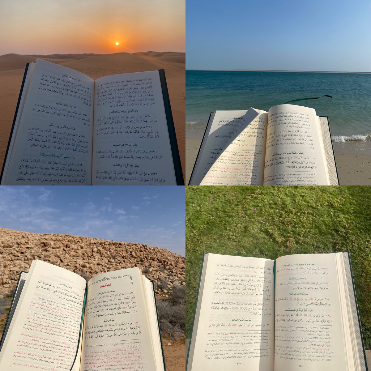 رفيف🌧️ tweet media