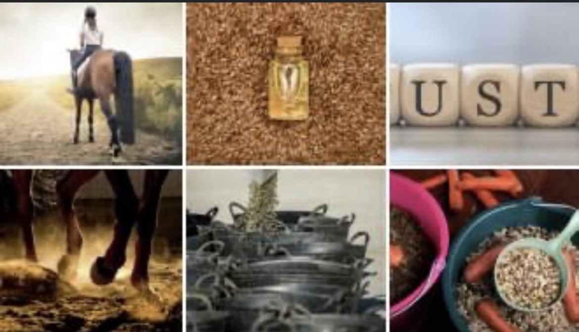 omega_naturals's tweet photo. Busy on other social channels? 
Check it out, you can follow us on:
🐎 https://t.co/iY8tWp9g7j
🐎 https://t.co/J9quzHJaDi
🐎 https://t.co/lFCNxp4gMH
Join the conversation#OmegaNaturals #Omega3 #EquineSupplements #Omegas #EquineOmegas #AlgalOil #OmegaNaturalSupps #horseSupplements https://t.co/Q0yPNTEPsT