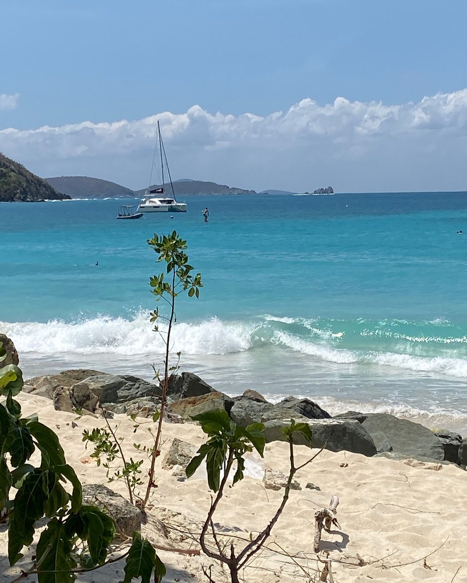 Do you ever stress about money and then accidentally book another flight? :-) If so, book it here!
Perfect place to relax & great for those of us #livingwithfoodallergies - St. Johns, I LOVE YOU xoxo

#aneasyjourney #usvi #beach #foodallergytravels #allergyblogger #vacationmode #