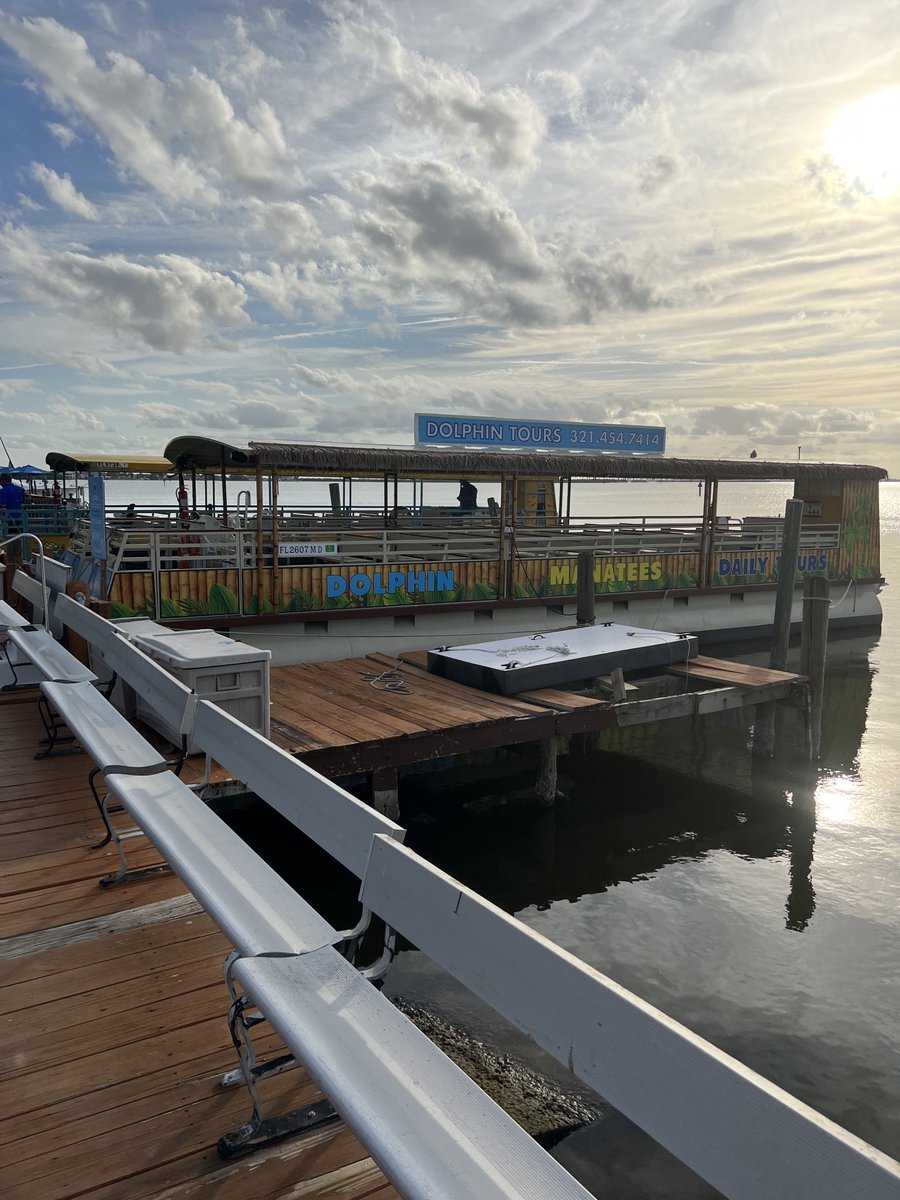 Coco Beach Wildlife Dolphin ride.