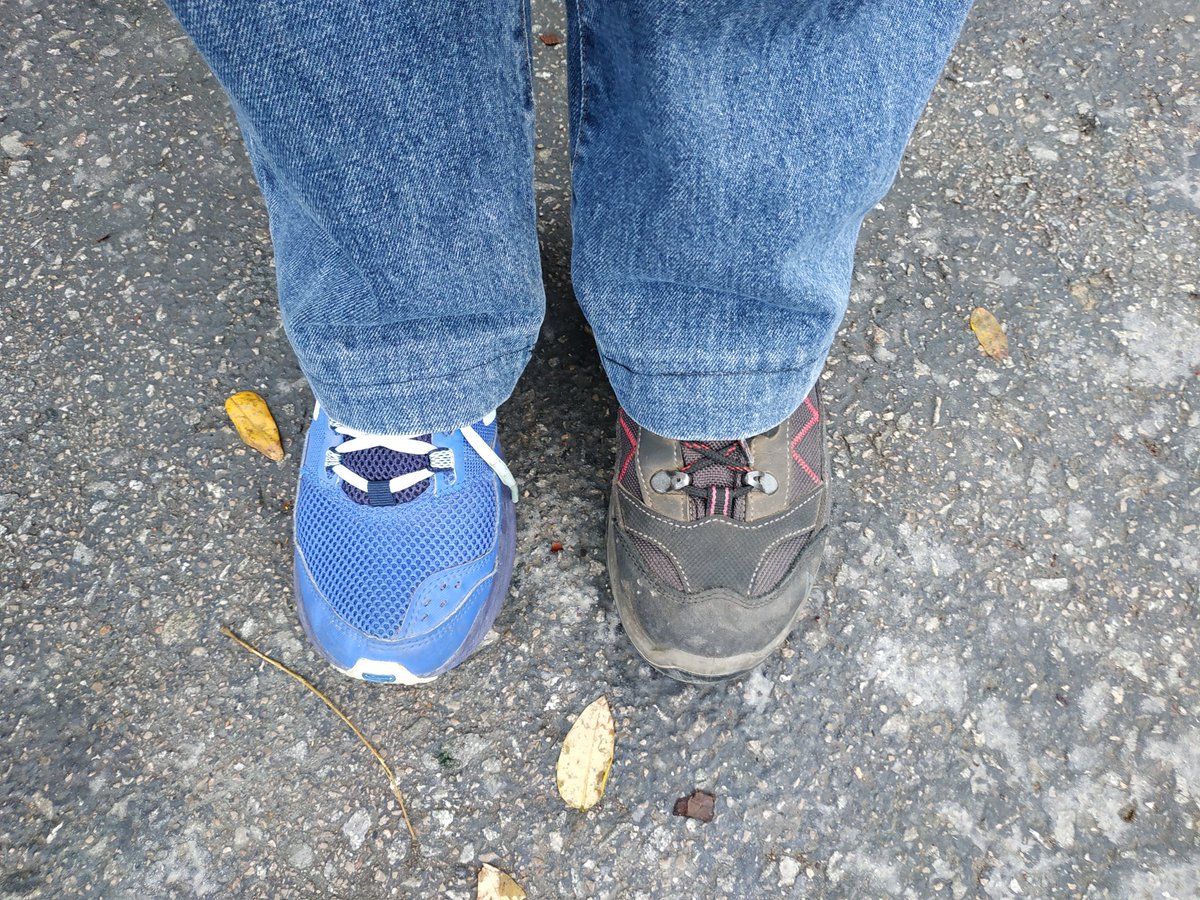 PlataformaEducacióP9 tweet media