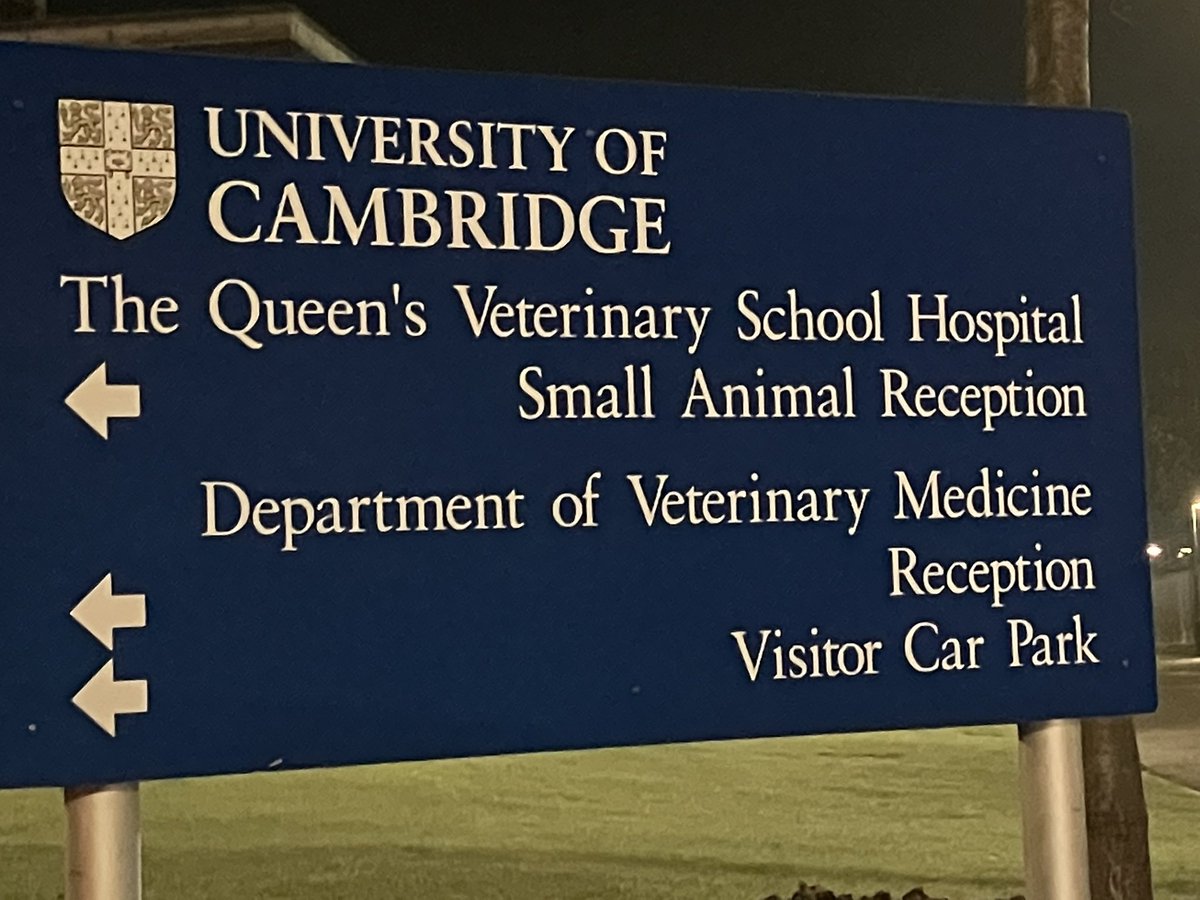 SaraPedersen3's tweet photo. Great evening @CamVetSchool delivering @theBCVA sponsored clinical club on all things #cowsfeet Always encouraged &amp; enthused after evenings like this. Lots of great future farm vets in the room tonight! https://t.co/zclUUNjDbt