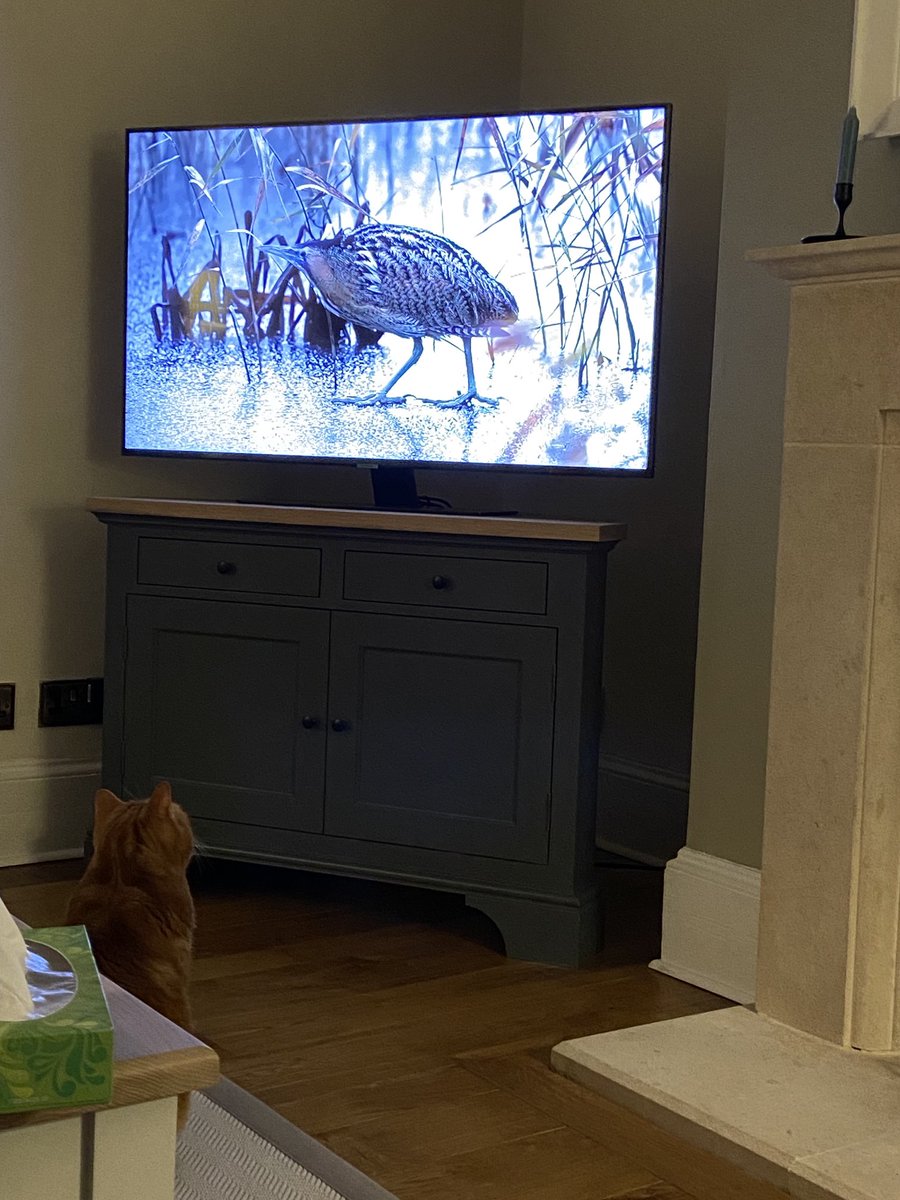 Okay, what on earth is this thing and is it edible?! Asking for a friend…