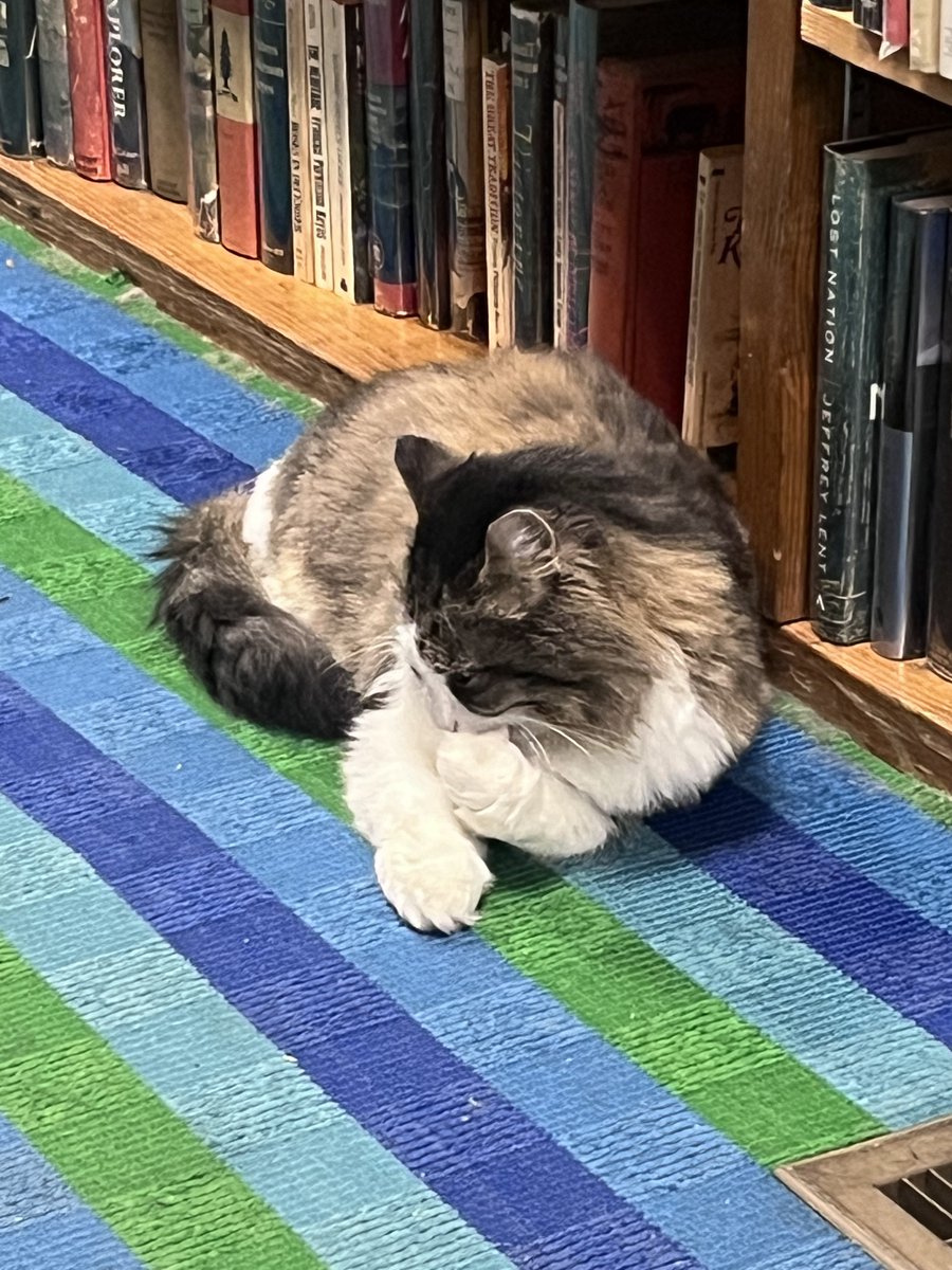 Hyde Brothers Books tweet media