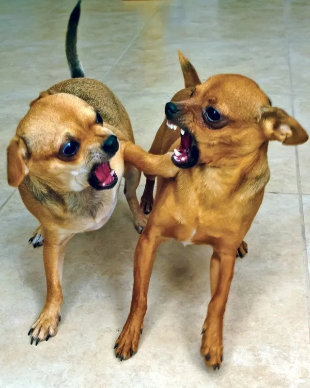 Вo///дъ tweet media