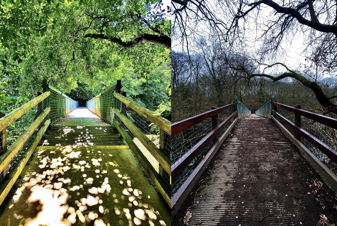 JamieBrianEvans's tweet photo. The beauty of different seasons https://t.co/zXTgIHbpC8
