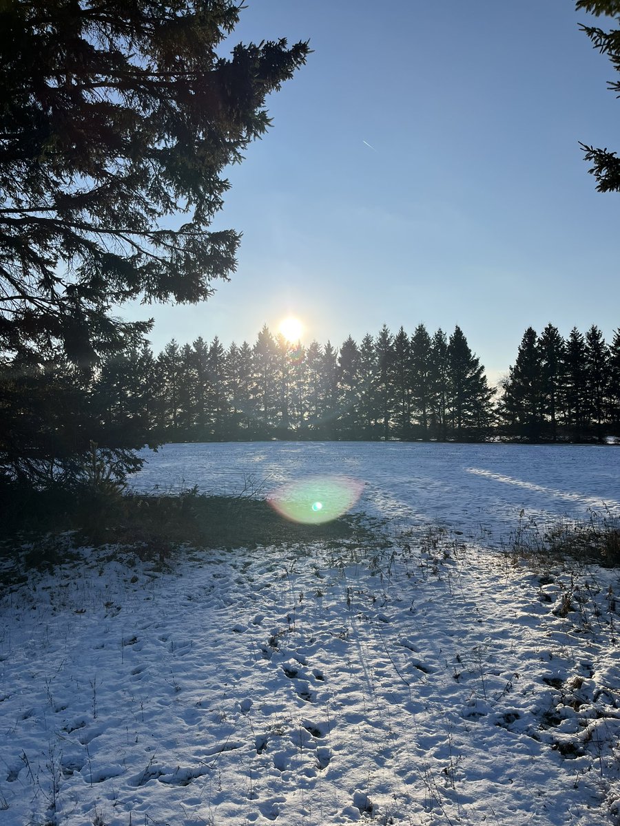 MsHeyens's tweet photo. THE SUN IS FINALLY SHINING โ๏ธ๐ Much needed after school walk with the pups ๐ถ Teachers, remember to take care of yourself too! #SelfPD #ExamSeason https://t.co/5ID0n9YooM