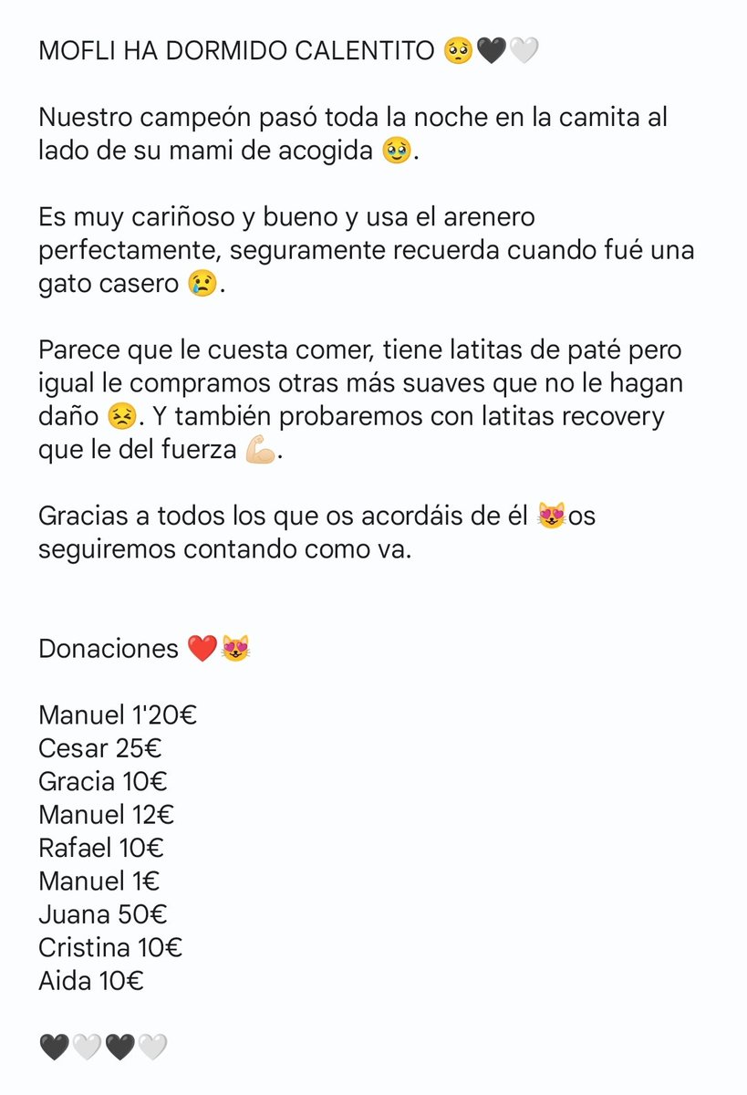 Felinos_Gabias's tweet photo. #MOFLI HA DORMIDO CALENTITO 🥺🖤🤍
#Granada https://t.co/gzBLpSf7Lv