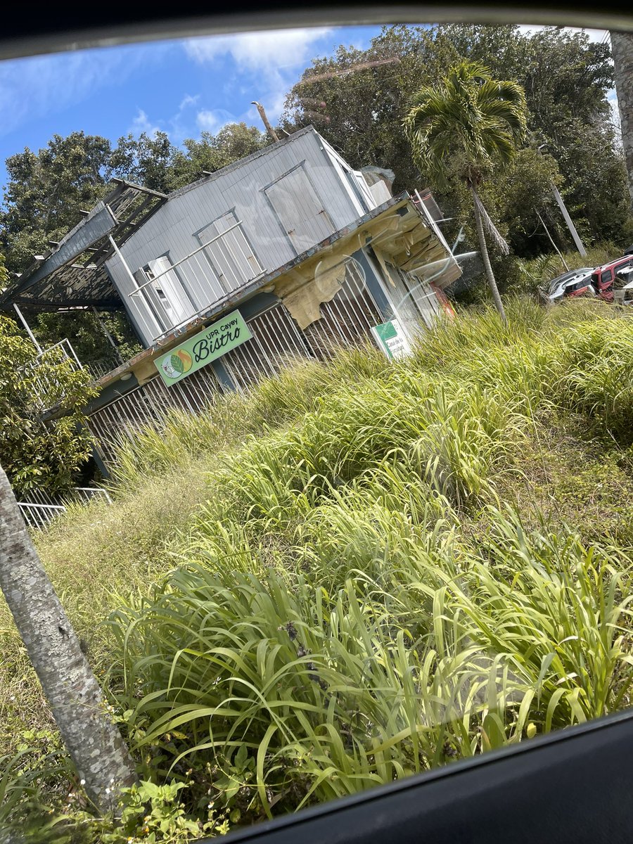 UPR Cayey; nos cobran $100 de mantenimiento… Cómo es posible que tengan semejante pastizal, para bajar por las escaleras de la primera foto tienes que hasta sacar las matas del medio🤦🏼‍♀️ que coraje