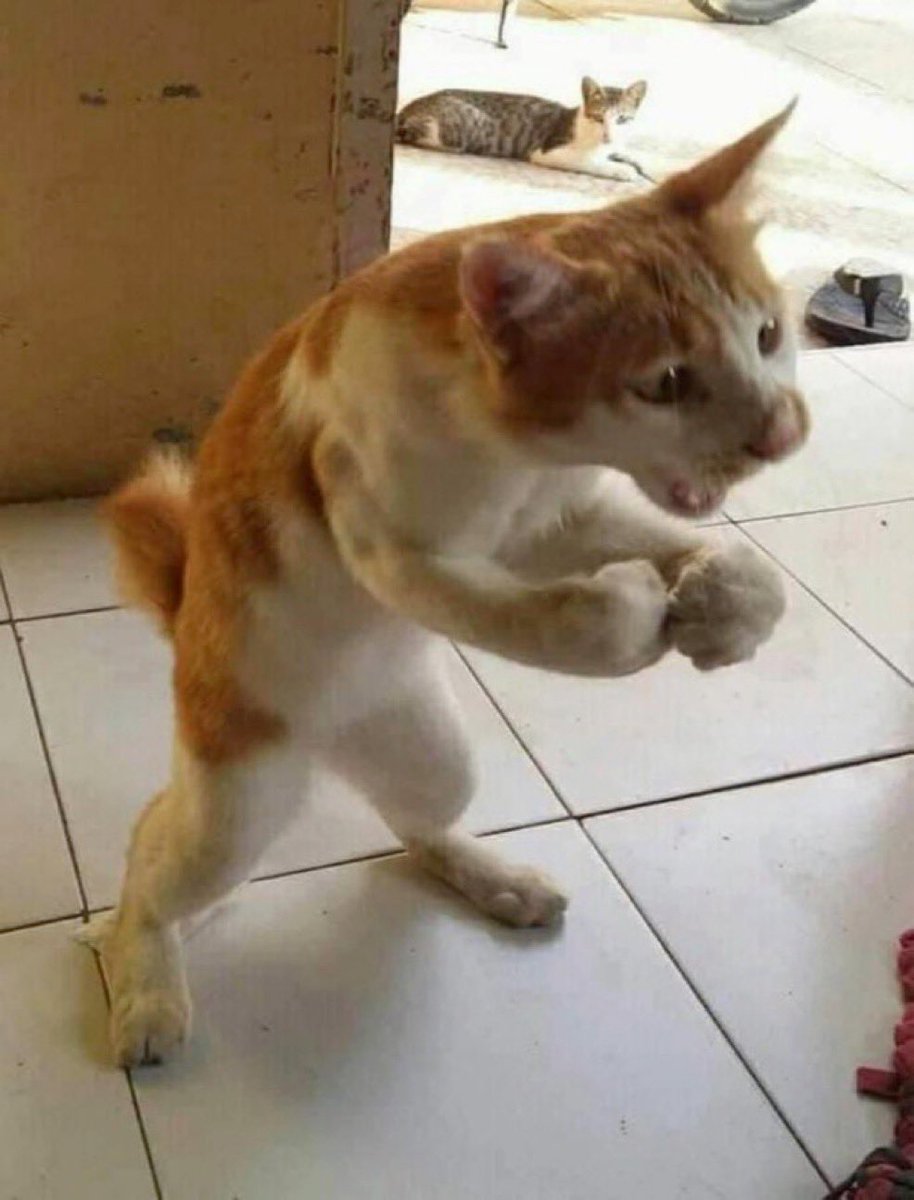 Nemesis’s big ass seconds after punching a survivor who’s 1/5th his size