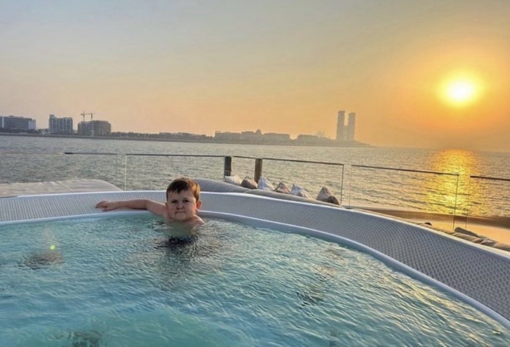 Project founders after announcing their mental health break right after mint: