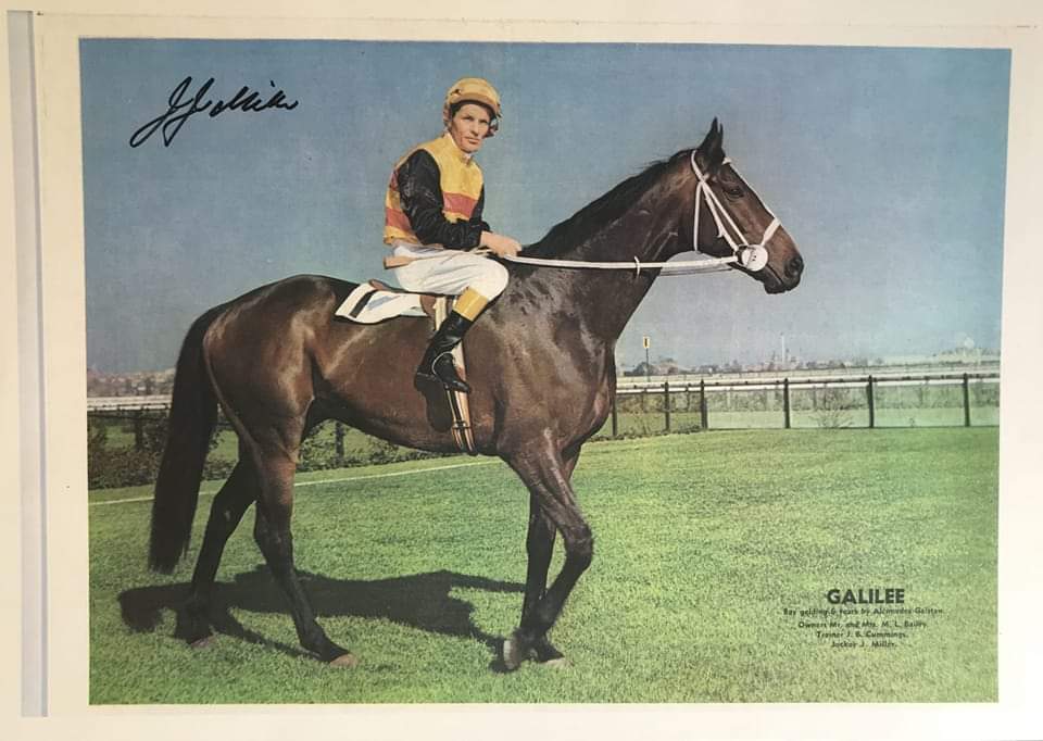 RodsRacing1's tweet image. GALILEE. 
36 starts 18 wins 6 seconds 4 thirds. 11 MAJOR Wins including 7 GR1'S 1966 TOORAK HCP. CAULFIELD CUP. MELBOURNE CUP. 1967 QUEEN ELIZABETH STAKES  SYDNEY CUP (60.5 Kg by 6 Lengths) 1968 MEMSIE STAKES and the TURNBULL STAKES