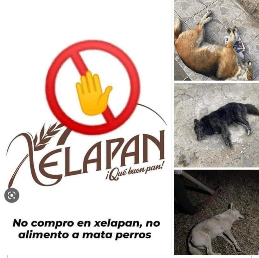 LosBuenosTuits's tweet photo. Cualquier persona, negocio o lo que sea, que mate animales indefensos, cuenta con mi TOTAL REPUDIO PARA SIEMPRE!!!
No importan comunicados ni videos de nada.
Así que … 
❌ ¡HASTA NUNCA XELAPAN! ❌ https://t.co/CyJQGo2R1L