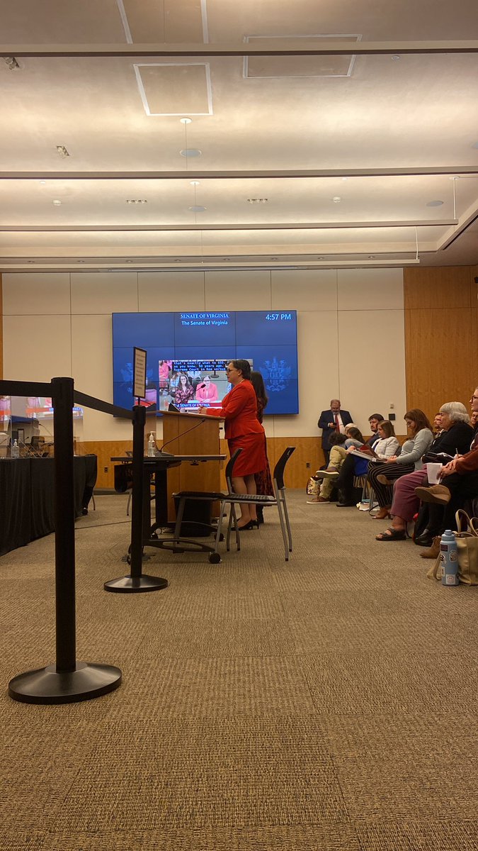 REPRORising_VA's tweet photo. ‼️ HAPPENING NOW:

@JennMcClellanVA and @JenniferBoysko are presenting SJ255- Constitutional Amendment for Reproductive Freedom https://t.co/SzXpt79tFN