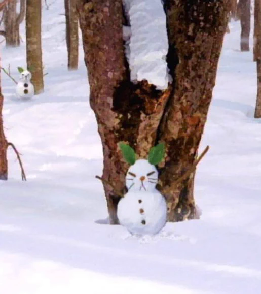 面白い調査でアメリカの子どもたちに日本の雪だるま(2段)の映像を見せた後に、「見てもらったもの」を絵で描いてもらったところ4割近くの子供たちが「3段」を描いたそう。人は目の前の物質(映像)を見てるようで、実際は自分のイメージを見てるのかもしれません。 