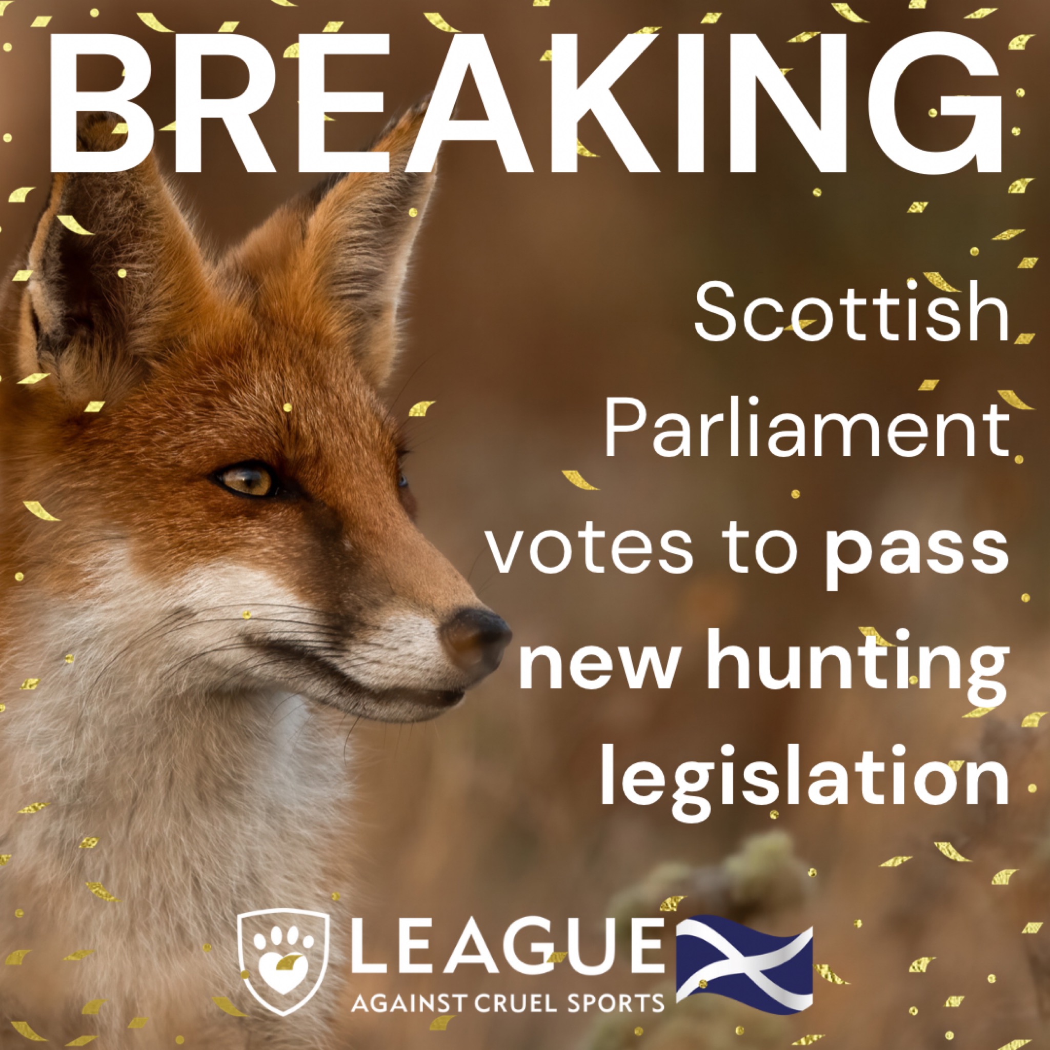 Is Hunting With Dogs Illegal In Scotland