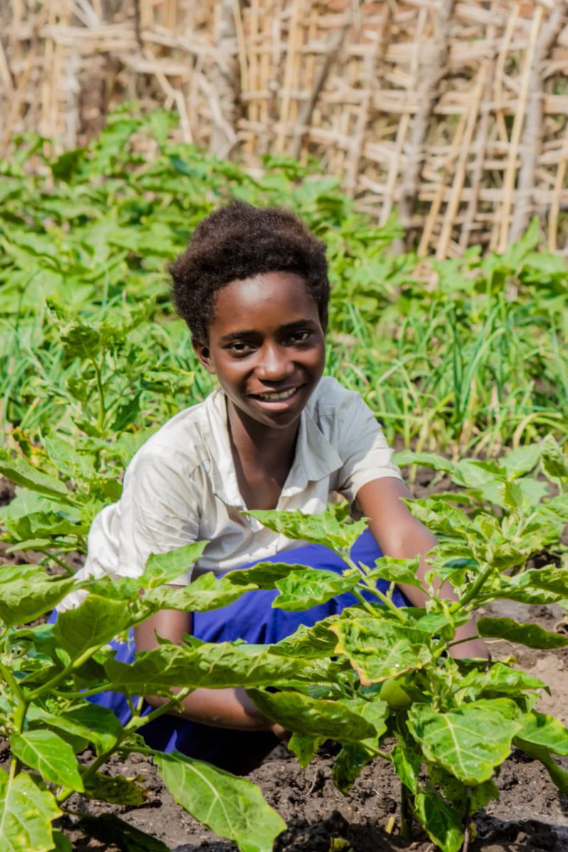FAORDCongo's tweet photo. #JourneeInternationaledelEducation La @FAO accompagne les écoles du territoire d’Uvira dans la fourniture de repas scolaires aux écoliers.
Grâce aux 5️⃣4️⃣ jardins scolaires mis en place: des repas sains pour des enfants épanouis 💡

Merci à @BMZ_Bund 
@Allemagne_RDC https://t.co/g8VQ0kPJq1