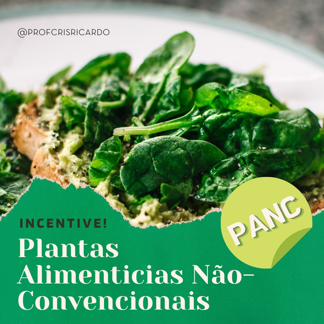 profcrisricardo's tweet image. As PANCs variam de acordo com a região do Brasil, e que existem muitas outras plantas alimentícias não convencionais que podem ser encontradas em diferentes regiões.
Suas preparações variam assim como variam os motivos de serem não-convencionais. 
#panc #alimentos