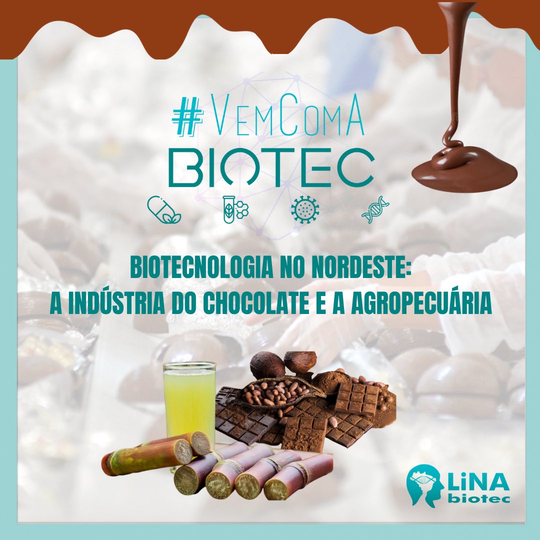 LiNAbiotec's tweet photo. Hoje vamos entender um pouquinho melhor sobre como a biotecnologia impacta na indústria do chocolate e na agropecuária e porque esse setor possui tanto destaque no Nordeste do Brasil! 💙

#biotecnologia #industriadochocolate #agropecuaria #nordeste #vemcomabiotec https://t.co/PFhqJVJbRf
