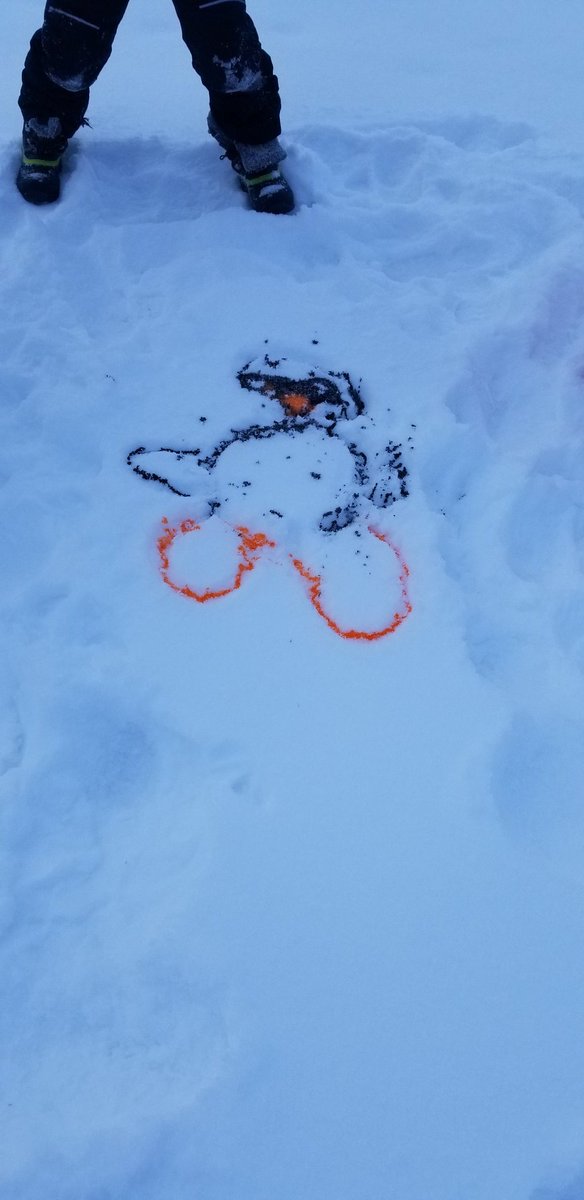 McMahonFirsties's tweet photo. Penguin snow art! #mcfirsties #handsonlearning #firstgradeforesters #getoutside https://t.co/KZ0pUF99Nc