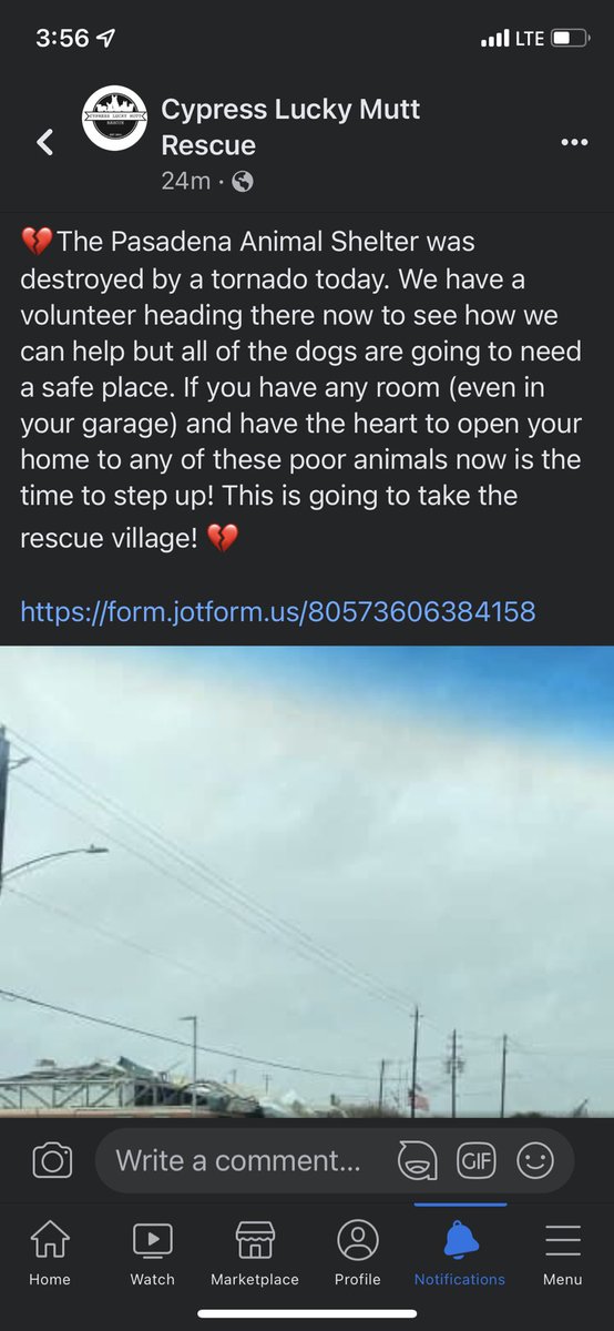 midiegidian's tweet image. Please help! The Pasadena (near Houston, TX) Animal Shelter was hit by a tornado today! We are in desperate need of fosters, etc. Please please please share and if you can hold a dog or 5 (garage, spare room, whatever) PLEASE help us! @svershbow @darth @dog_rates @dog_feelings