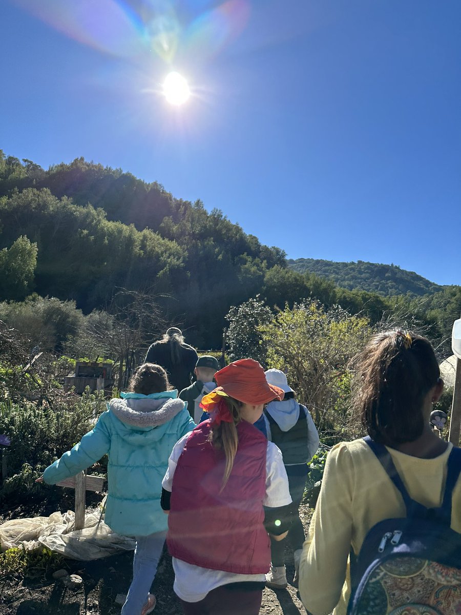 Kristy Chia tweet media