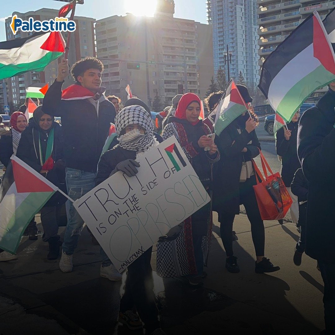 PALESTINE ONLINE 🇵🇸 on Twitter: "Pro-Palestinian protesters in Edmonton