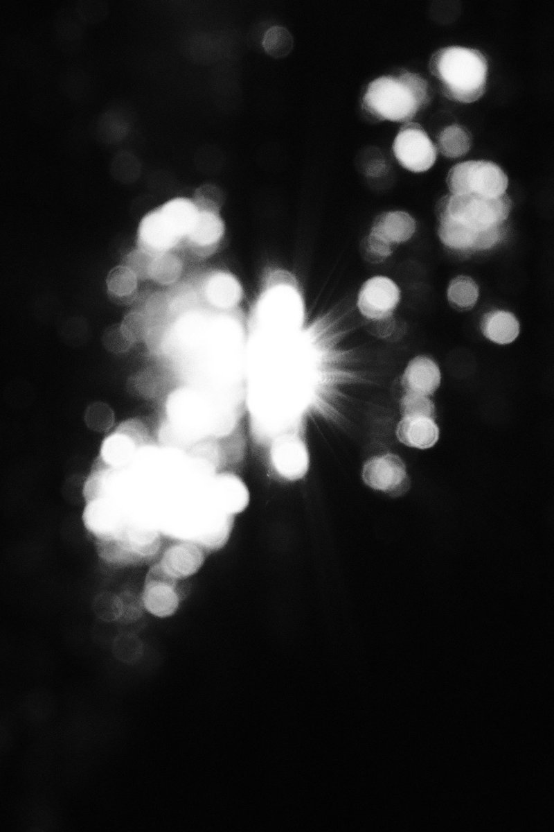 Matty_Andres tweet media