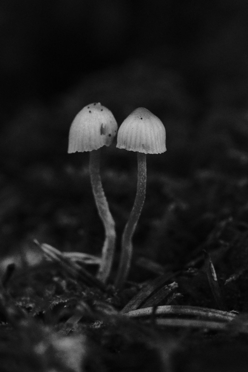 Matty_Andres tweet media