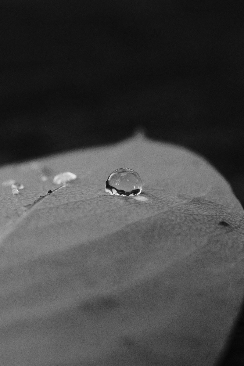 Matty_Andres tweet media