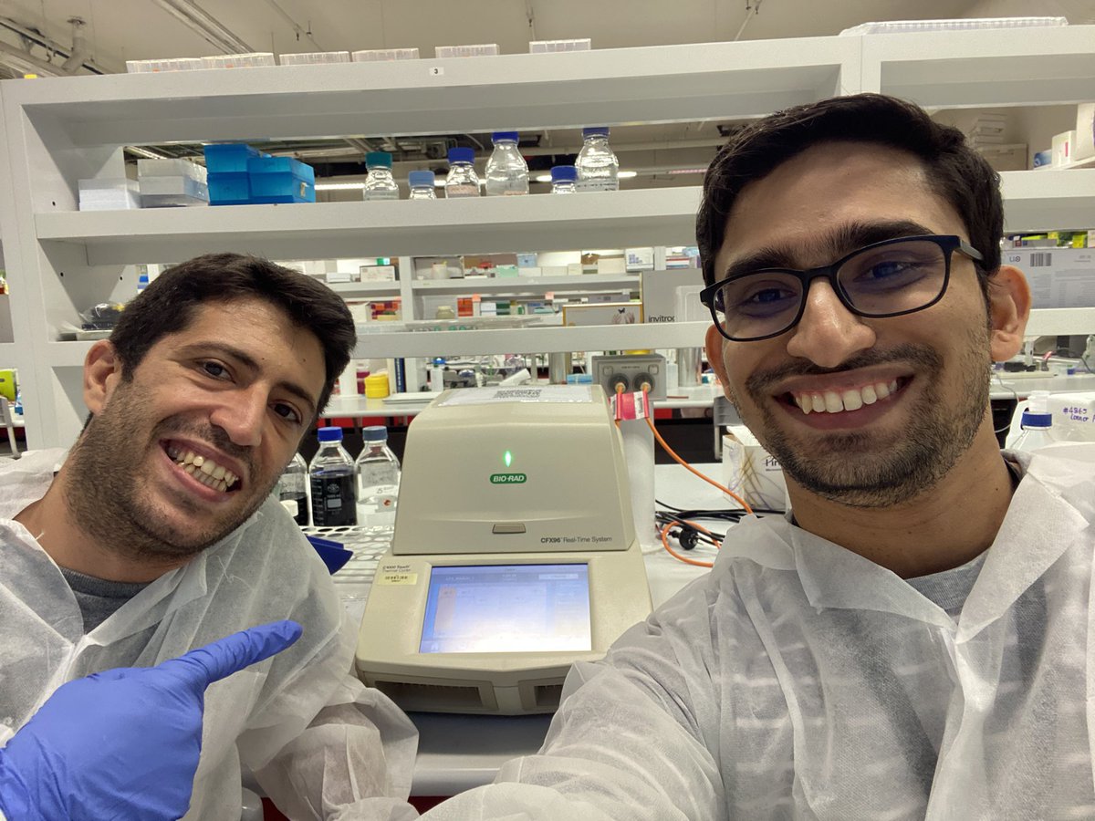Good exposure on qPCR, thanks Gab  #Dua_Lab #LungResearch <a href="/Fettinasi/">Gabriele De Rubis</a> <a href="/Kam_Dua/">Kamal Dua</a> <a href="/DrKeshavRajPau1/">Keshav Raj Paudel</a> <a href="/Dinesh_Kumar78/">Dinesh Kumar Chellappan, PhD</a> <a href="/Rubyxcube1_618/">RJ</a> <a href="/UTS_GSH/">UTS Graduate School of Health</a> <a href="/UTS_Health/">UTS Health</a> <a href="/IMUMalaysia/">IMU Malaysia</a>