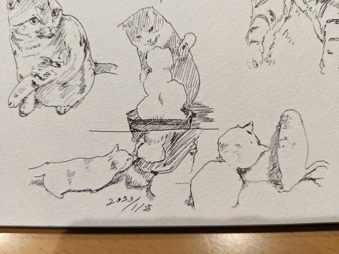 ねこと雪だるま カキカキ。 