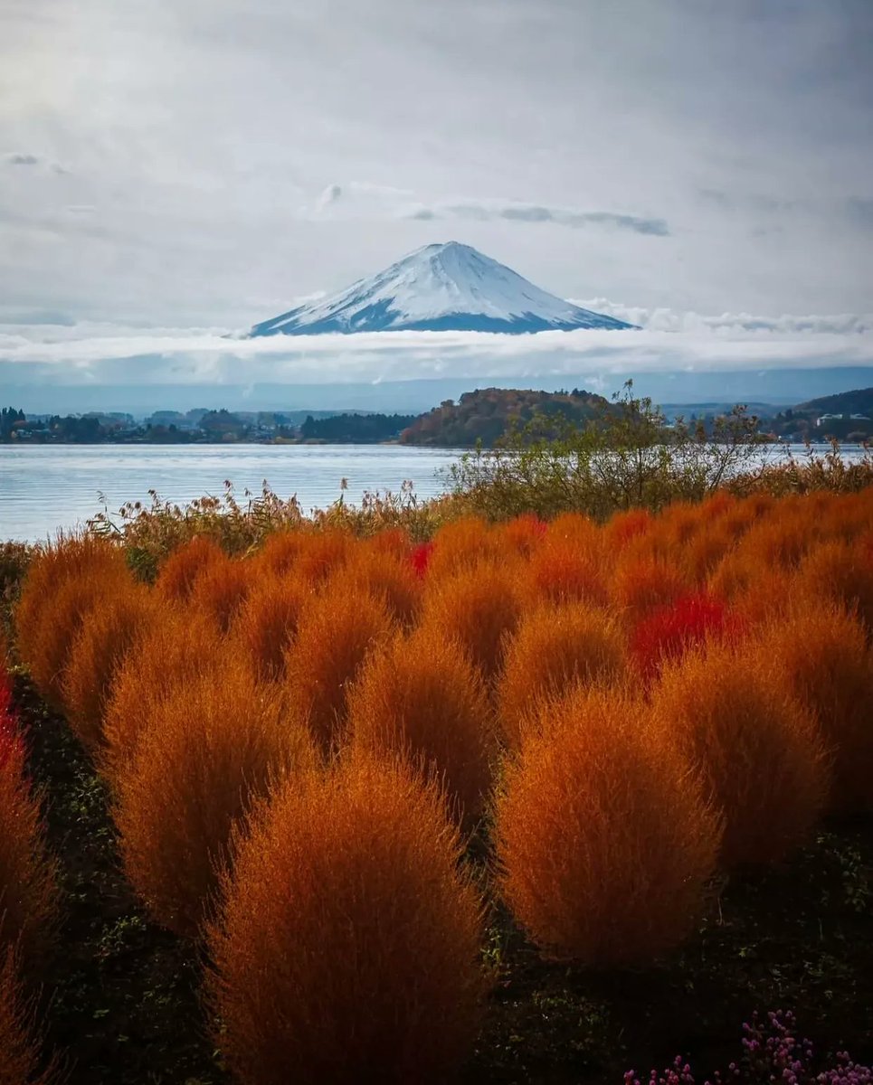 Lake Kawaguchi, Japan 🇯🇵🧡 📸: rahmad_priyanto | IG