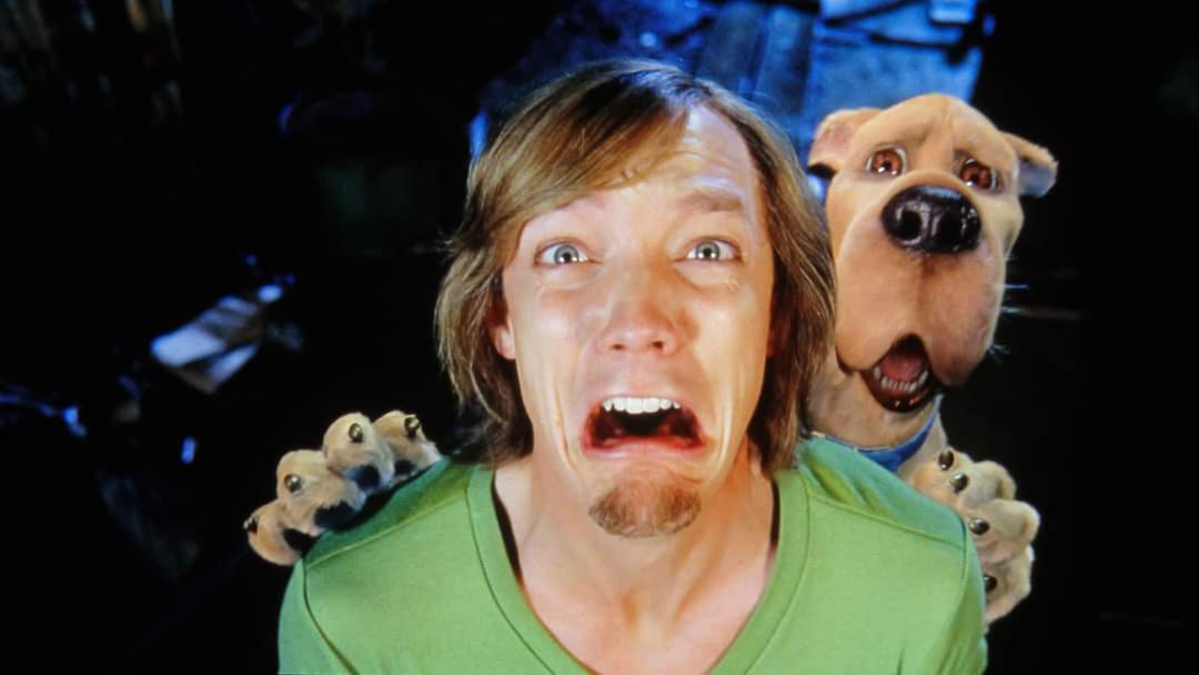 Happy Birthday to Matthew Lillard
Born on January 24th, 1970
[Photo: \"Scooby-Doo \"] 