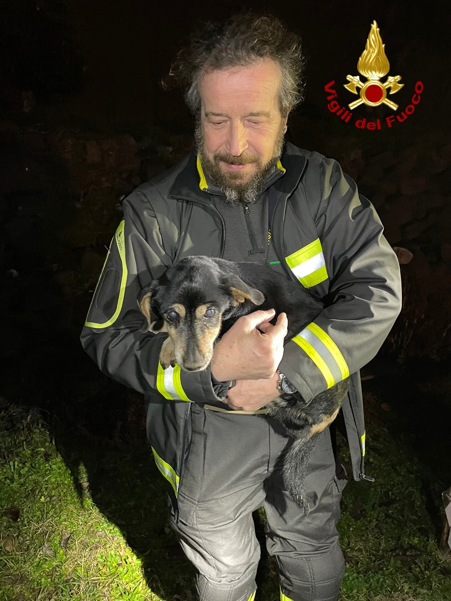 vvfveneto's tweet photo. #24gennaio #Chiampo(VI), coppia di anziani sentono i guaiti di lamento di un cane finito in un torrente e danno l’allarme. #Vigilidelfuoco recuperano il meticcio che non riusciva a risalire l’argine e coccolano l’animale spaventato. #salvataggianimali https://t.co/7AlEvnP0Nl