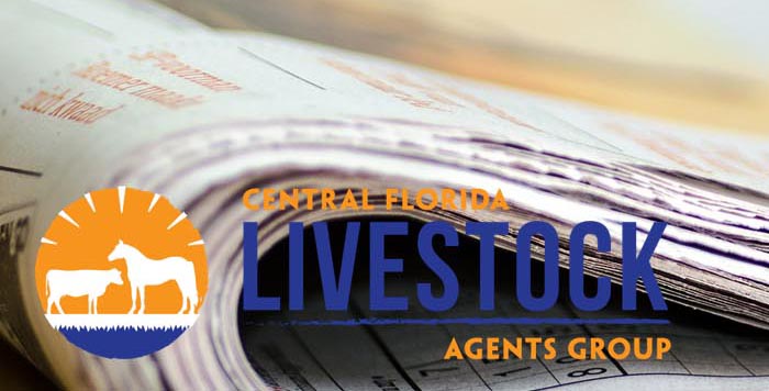 UF_IFAS_CFLAG's tweet photo. USDA APHIS is proposing to amend animal disease traceability regulations and require electronic identification for interstate movement of certain cattle and bison. To learn more or read other news, please visit https://t.co/jPpfCXuOT8. https://t.co/Xpvez4wDFR