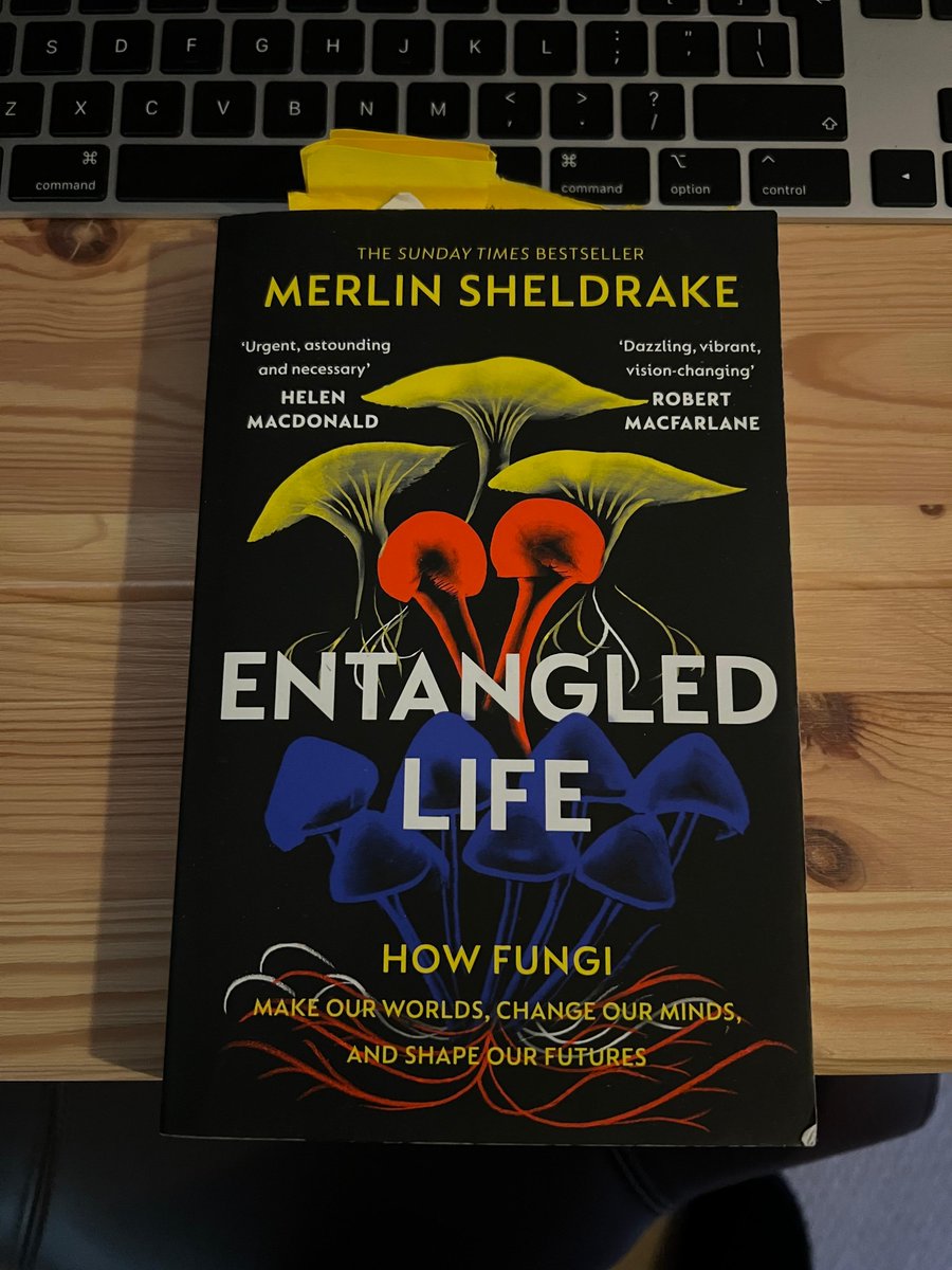 PeteKellyHT's tweet image. Though I mostly write about history and archaeology it’s always important to read widely outside your own genre. Mycology has become a big fascination for me over the last few years. This book has it all. Absolutely fascinating and bizarre stuff about alien life on Earth.