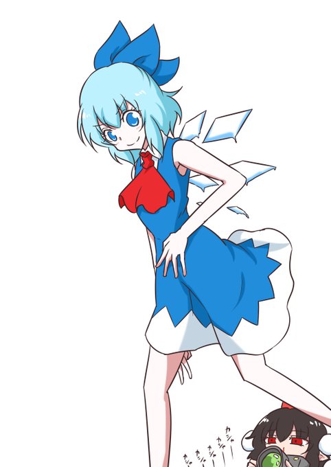 #大寒波襲来でチルノが大量発生してるらしいので繋がらなくていいから俺のチルノを見てくれ 