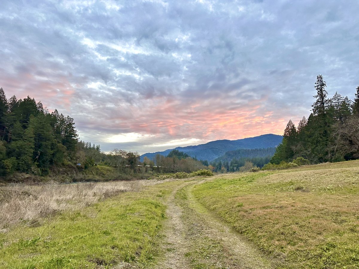 cryptofred48's tweet photo. @FatherMcKennaa This was my view when I was tripping! Humboldt county, out in the woods!! https://t.co/6bjKZhIQSJ