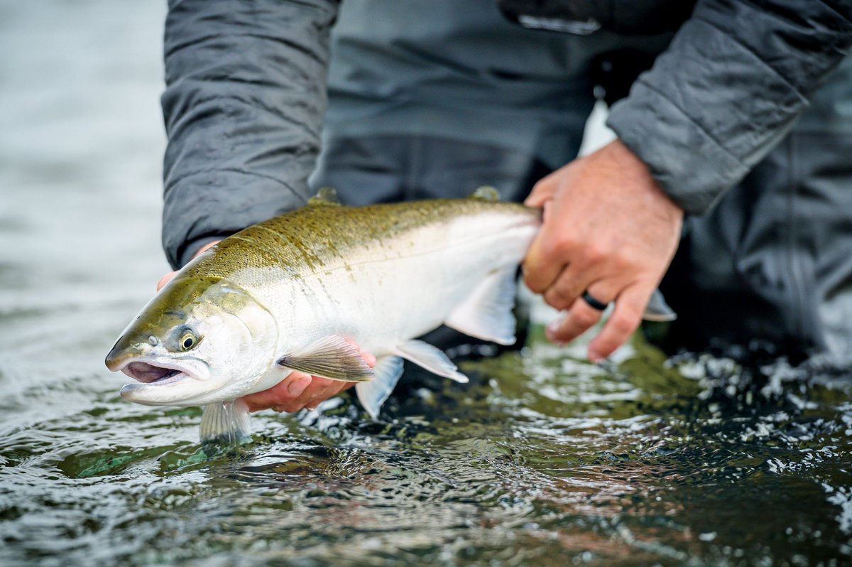 The Fly Shop tweet media