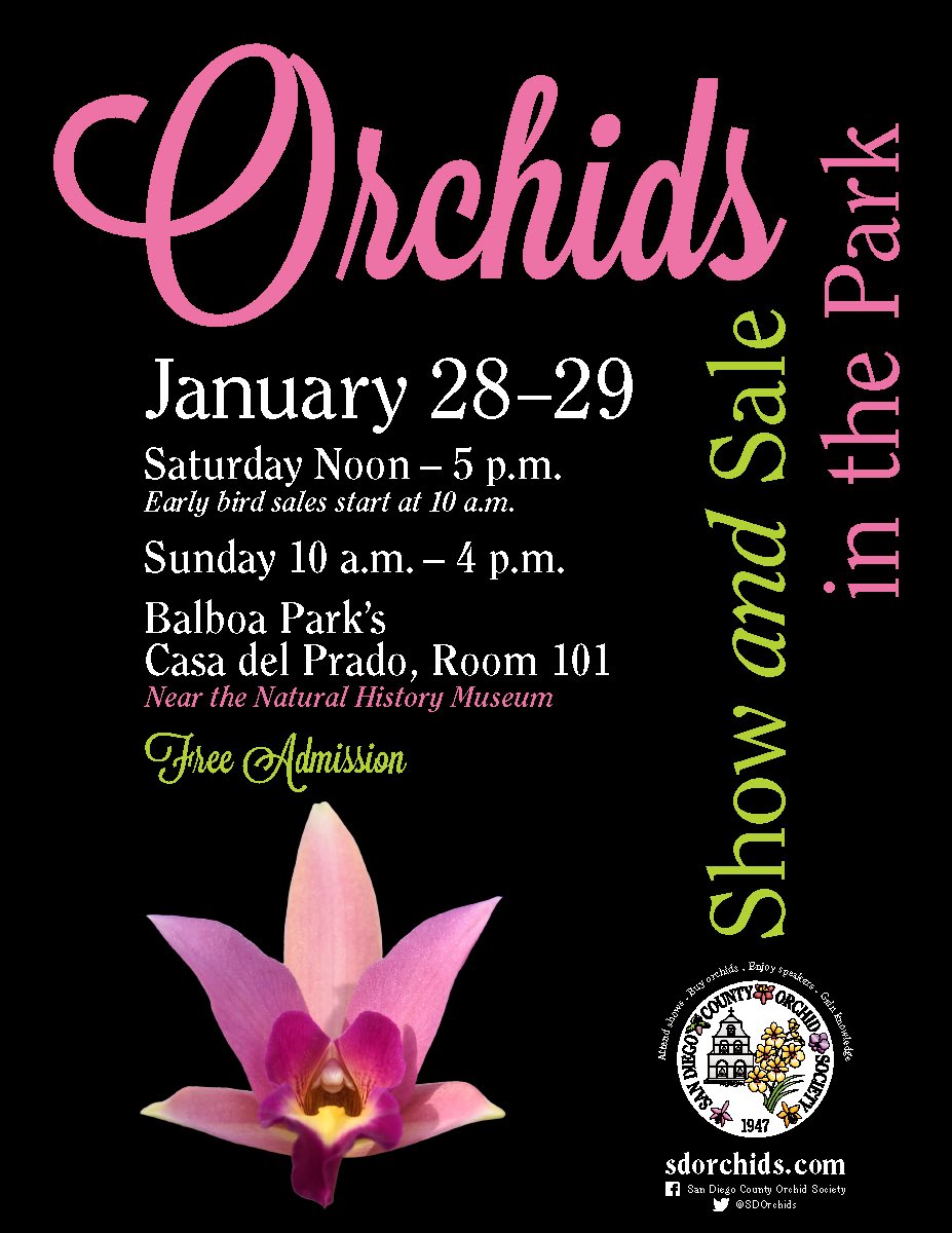sd_gardener's tweet photo. San Diego County Orchid Society hosts its winter show and sale this weekend in Balboa Park! Learn more at https://t.co/sdPXvfWrUY. @SDOrchids @BalboaPark https://t.co/3AWSiNKZsu